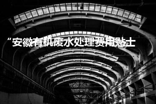 “安徽有机废水处理费用贴士：如何降低处理成本？”